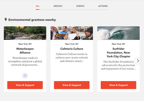Credit: Patagonia Action Works website